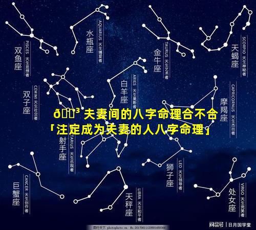 🐳 夫妻间的八字命理合不合「注定成为夫妻的人八字命理」